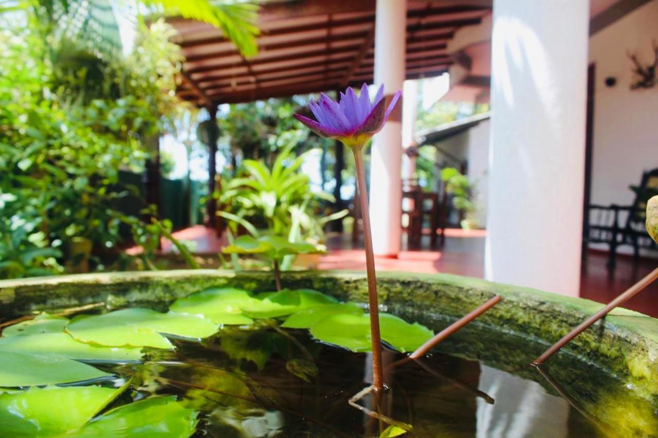 Sunrise Guest House & Restaurant Tangalle Exterior foto
