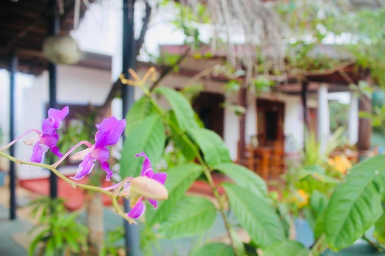 Sunrise Guest House & Restaurant Tangalle Exterior foto